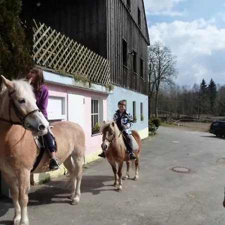 公寓 Auf Einem Reiterhof By Interhome *