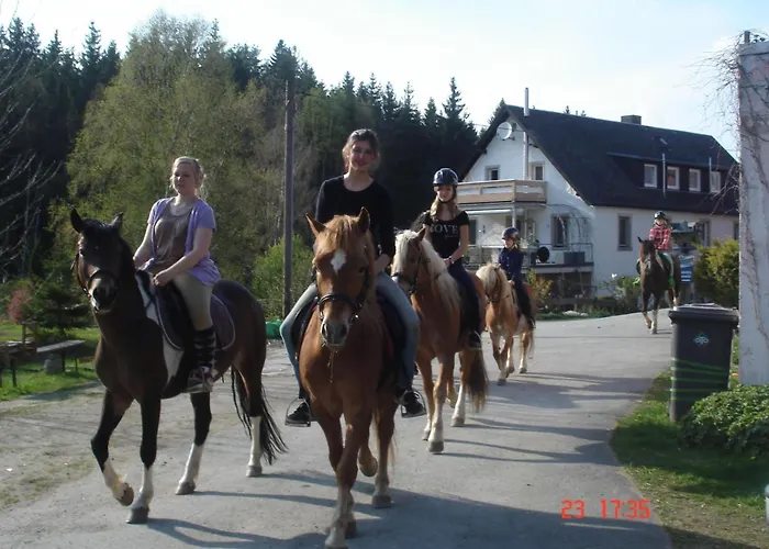 Auf Einem Reiterhof By Interhome Lejlighed Weißenstadt