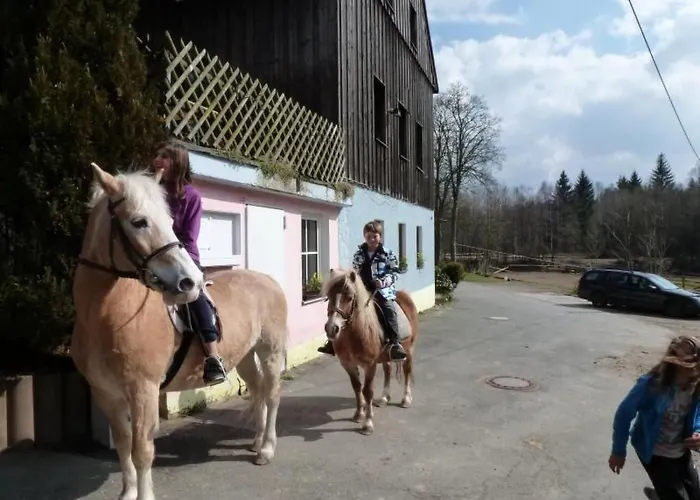 Lejlighed Auf Einem Reiterhof By Interhome *
