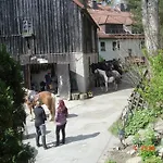 Auf Einem Reiterhof By Interhome Weißenstadt