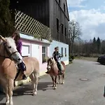 公寓 Auf Einem Reiterhof By Interhome *